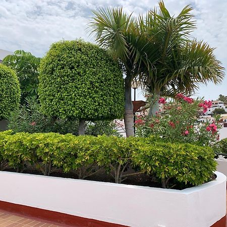 Ocean Breeze And Seaview Resort Costa Adeje (Tenerife) Exterior foto