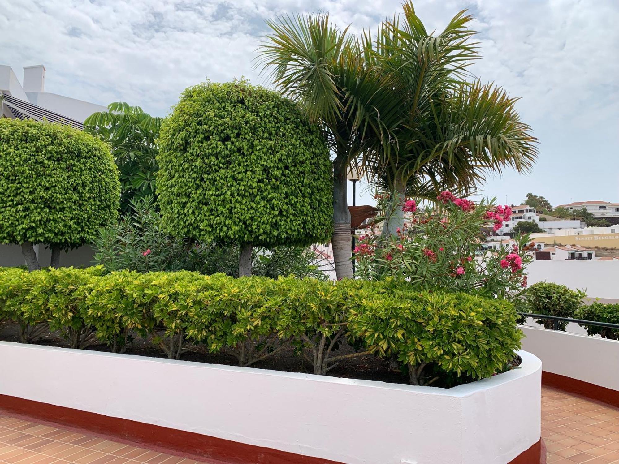 Ocean Breeze And Seaview Resort Costa Adeje (Tenerife) Exterior foto